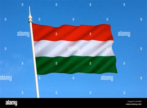 The national flag of Hungary has been the official flag since October 1 ...