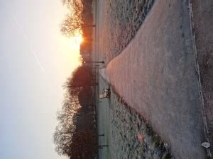 A Frosty Primrose Hill Sunrise In Pictures - Randomly London