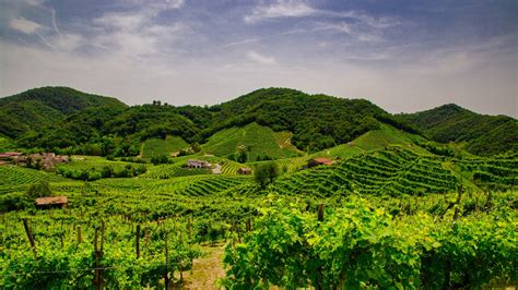 Prosecco - Italy's Sparkling Wine Region