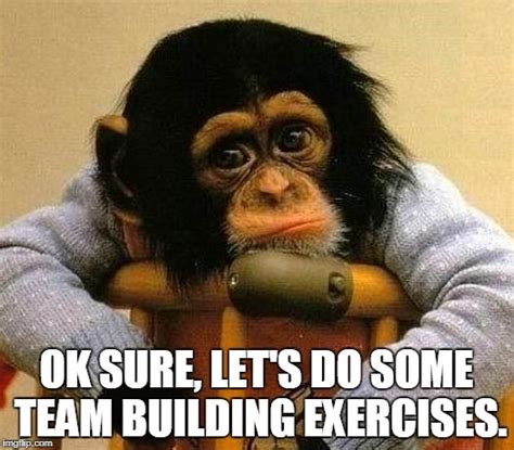 Team Building Meeting Memes