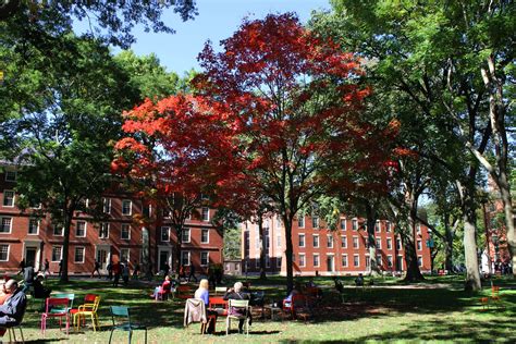 Flyby | The blog of The Harvard Crimson