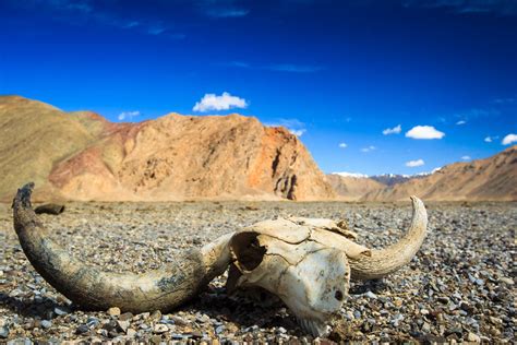 Tajikistan – The “Unnamed Valley” - WildlifeMoments.de