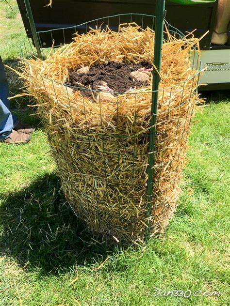 How To Build a Potato Tower | Vegetable garden design, Strawbale gardening, Veggie garden