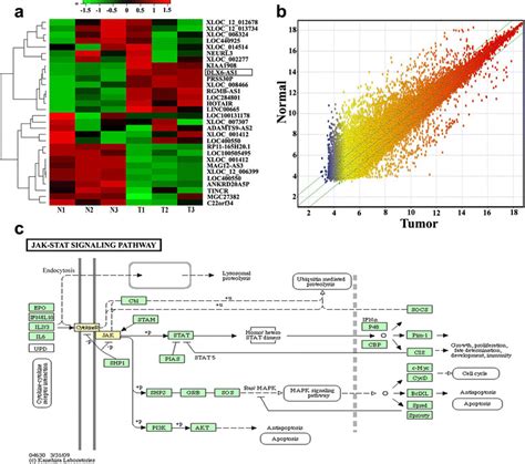 Microarray data analysis. a The result from Hierarchical Clustering... | Download Scientific Diagram