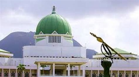 Why the National Assembly race matters - Vanguard News