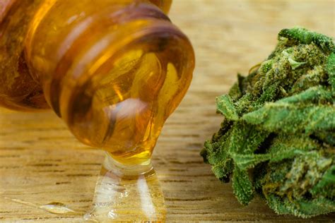 How long does cannabis oil last? - Honey Brands