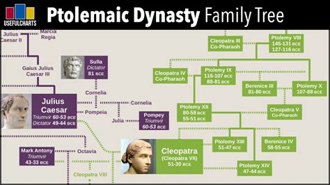 Ptolemaic Dynasty Family Tree - YouTube