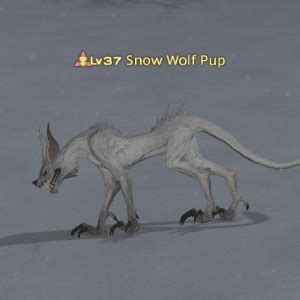 Snow Wolf Pup – Gamer Escape