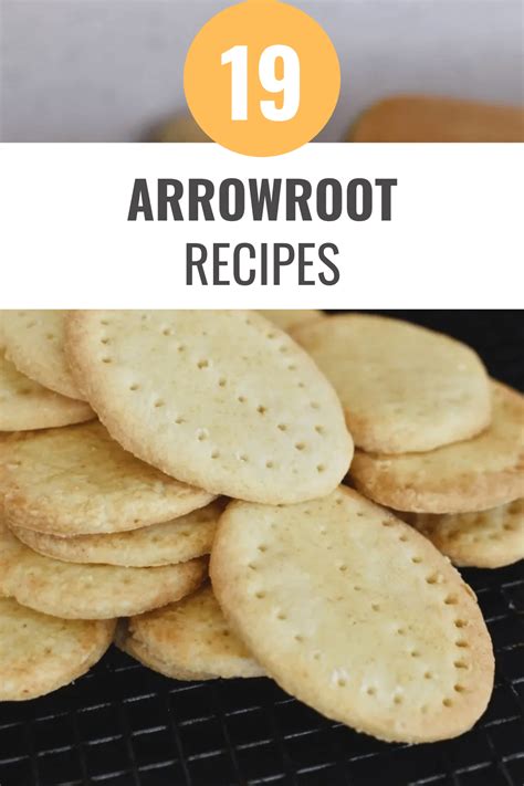 19 Arrowroot Recipes to Satisfy Your Appetite - Happy Muncher