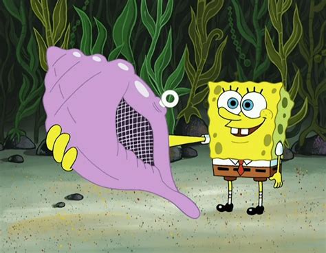 An In-Depth SpongeBob Magic Conch Shell Guide - The Sponge Bob Club