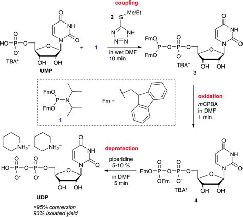 Phosphate esters and anhydrides – recent strategies targeting nature's favoured modifications ...