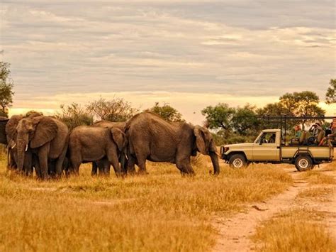 Zimbabwe wildlife holidays | Responsible Travel