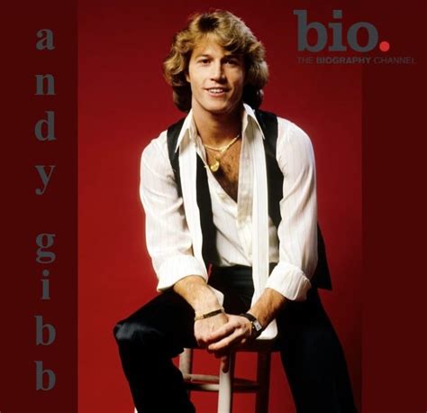 Andy Gibb – Biography (2014) DVD – The Music Shop And More