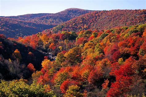 Brilliant Autumn Colors Paint Great Smoky Mountains of Gatlinburg