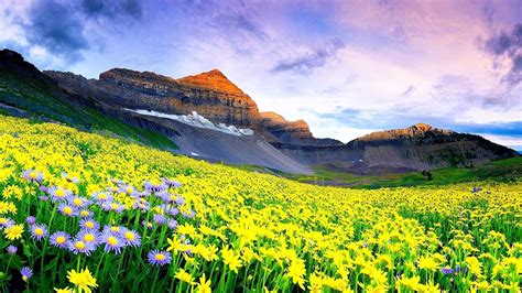 5-five-5: Nanda Devi and Valley of Flowers National Parks (India)