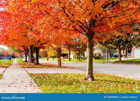 Suburban Neighborhood Sidewalk and Street in Autumn Looking Downhill Stock Image - Image of ...