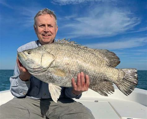 Tripletail Time! – SpaceFish