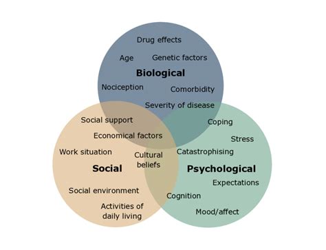 What is the Bio-Psycho-Social Model of Pain? - European Pain Federation