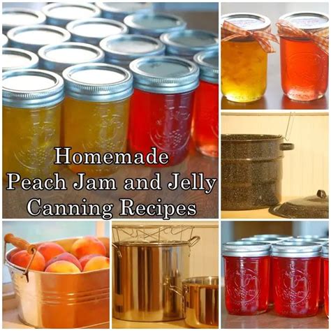 Homemade Peach Jam and Jelly Canning Recipes - The Homestead Survival