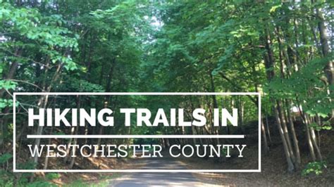 Five Great Hiking Trails in Westchester County