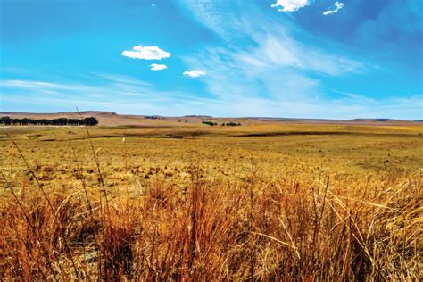 Hi-tech will reap harvest for SA farming - Pakhousebrands