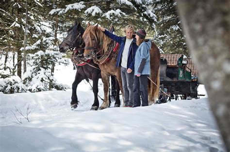 Hotel Edelweiss - Hinterglemm - Salzburger Land: Horse-drawn sleigh rides