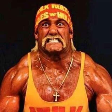 Hulk Hogan - FACEinHOLE