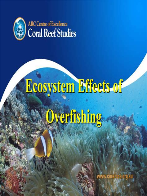 Ecosystem Effects of Overfishing Ecosystem Effects of Overfishing - DocsLib