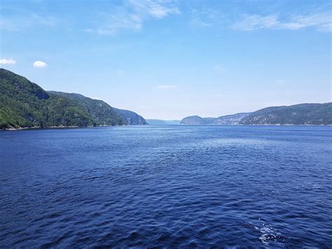 Magic on the St Lawrence River: Go whale watching in Quebec – it will leave you in awe | Metro News