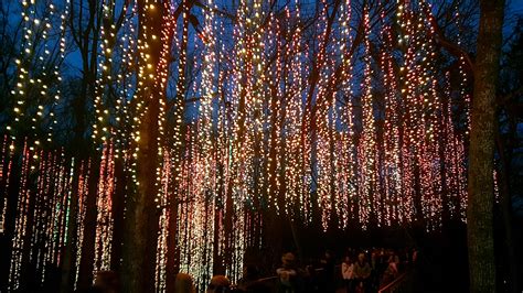 Atlanta Botanical Garden Christmas Lights 2024 - Ulla Alexina