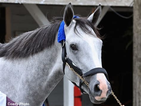 Gulfstream Park: Rainbow 6 Jackpot Estimated At $225,000 Friday ...