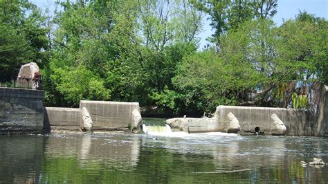 Here’s How a Mile of Chicago’s River Became a Wildlife Haven – Mother Jones