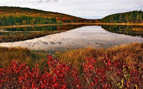 Acadia National Park Fall Colors in Maine 2024 - Rove.me