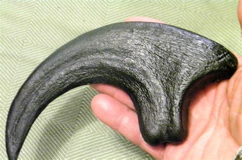 9 INCH RAPTOR CLAW REPLICA JURASSIC DINOSAUR FOSSIL NAIL UTAHRAPTOR ...