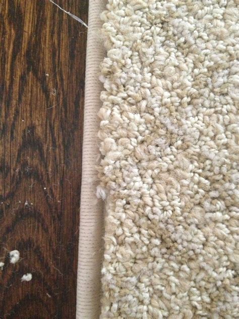 Private Site | Carpet remnants, Rug binding, Diy carpet