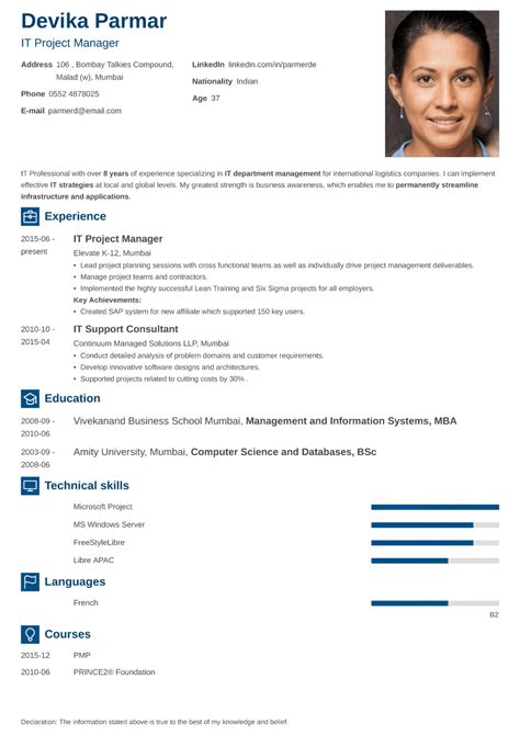 18+ Professional Resume Formats: Fill in the Blanks & Land a Job