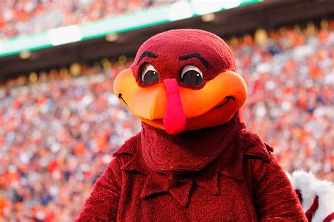 Virginia Tech Hokie Mascot : r/blender