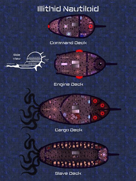 [Art] Nautiloid Spelljammer Map v2 : DnD | Fantasy map, Dnd world map, Dungeon maps