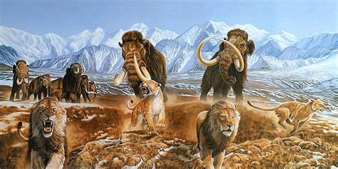 Making sense of mixed messages from the mammoth steppe | Prehistoric ...