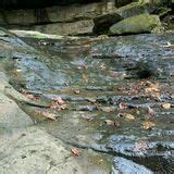 Ferne Clyffe Waterfall Trail - Illinois | AllTrails