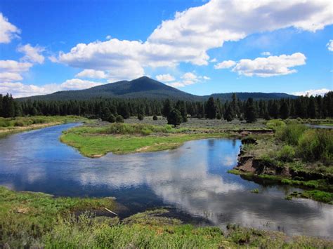 2.92 ACRES IN GORGEOUS SOUTHERN OREGON ~ TIMBERED PROPERTY OVERLOOKING ...