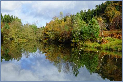 Forest of Dean Map - Gloucestershire, England - Mapcarta