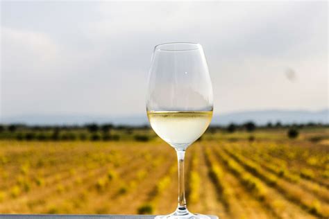 What is dry white wine? - Wine + Champagne - delicious.com.au