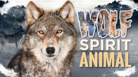 Wolf Spirit Animal – What it Means to Have the Wolf as Your Spirit Animal? - YouTube