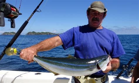 Panama's Best Rainbow Runner Photos - Come Fish Panama