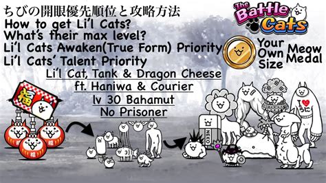 Bài Viết 33 Tank Cat Battle Cats Update - Countrymusicstop.com