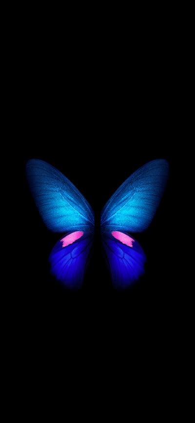 Butterfly - Galaxy Fold (Blue) | LIVE Wallpaper - Wallpapers Central