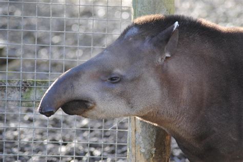 Newquay Zoo | Top 100