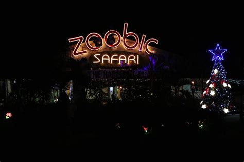 Zoobic Safari brings back 'Night Safari' - iOrbit News Online