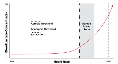 What Is The Aerobic Threshold: The Ultimate Guide